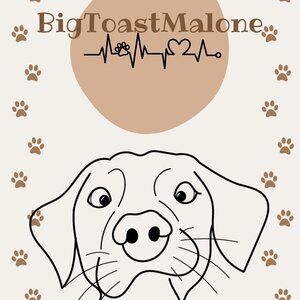 BigToastMalone